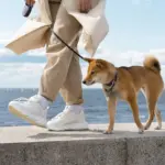 side-view-owner-walking-with-dog(2)